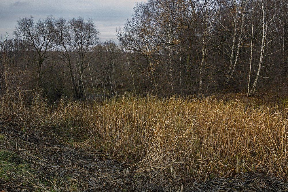 Поздняя осень