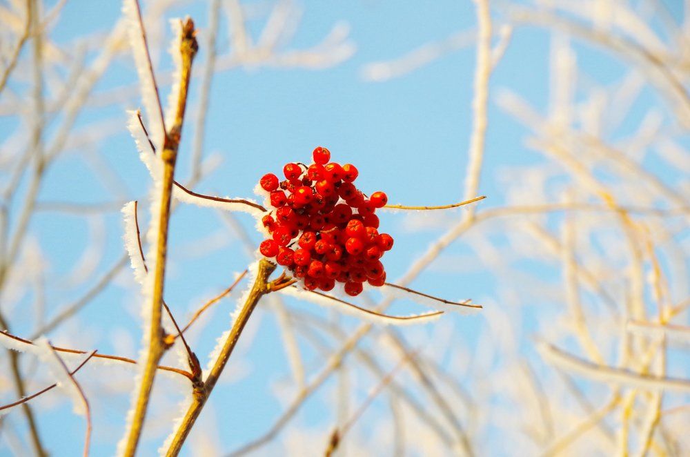 Фотография автора Алина Фаттахова