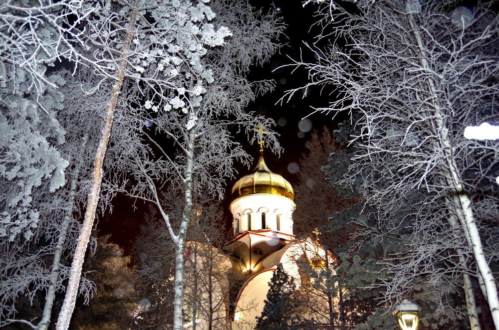 Фотография автора Алина Фаттахова