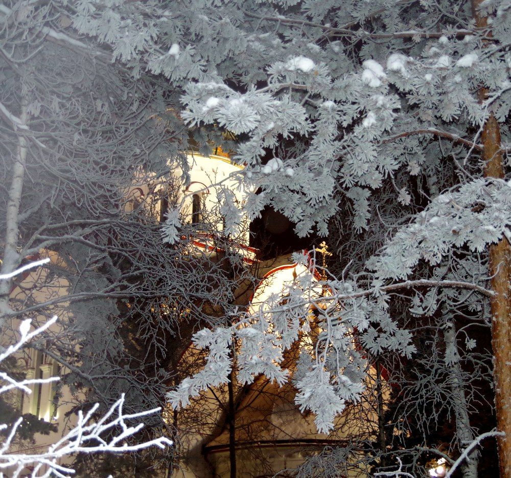 Фотография автора Алина Фаттахова