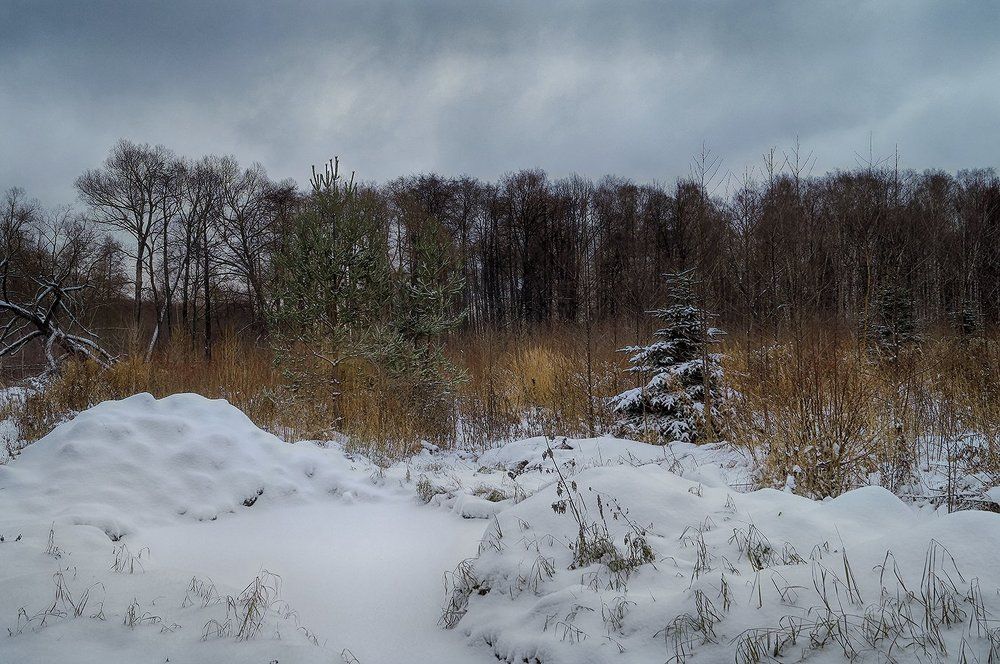 На краю леса.