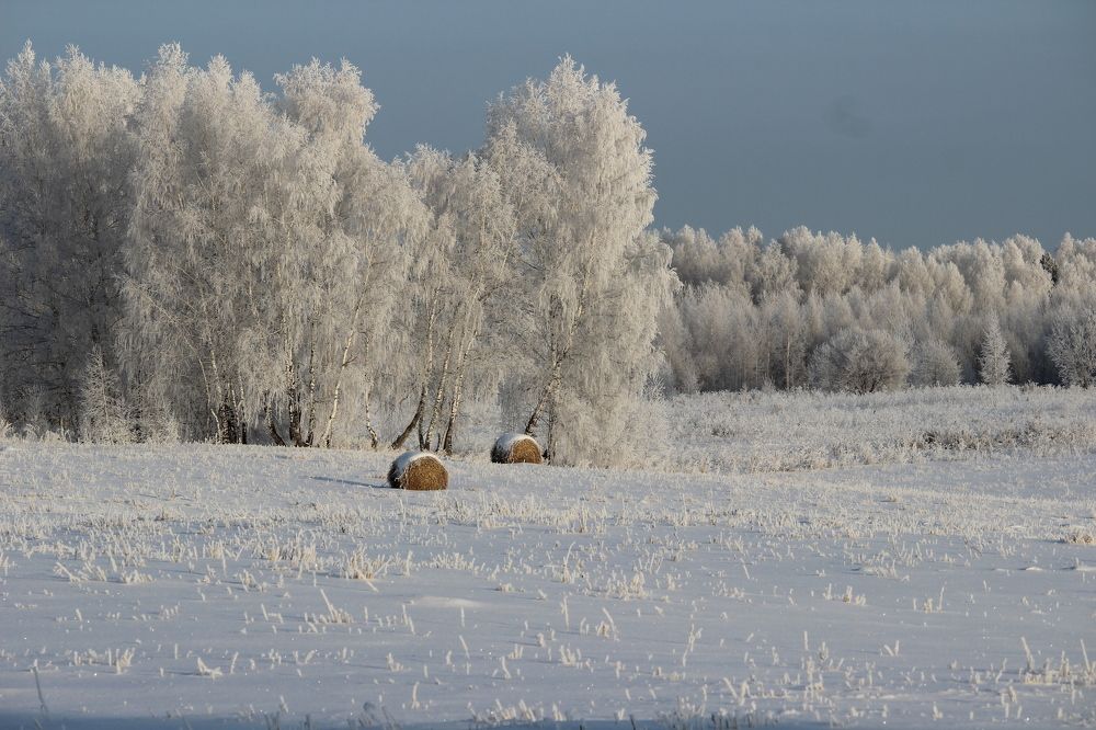 Сибирь. Зима.