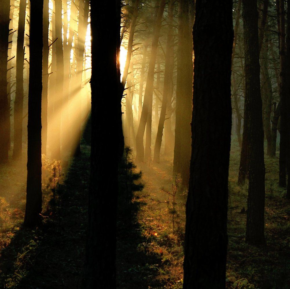 Лучиком надежды