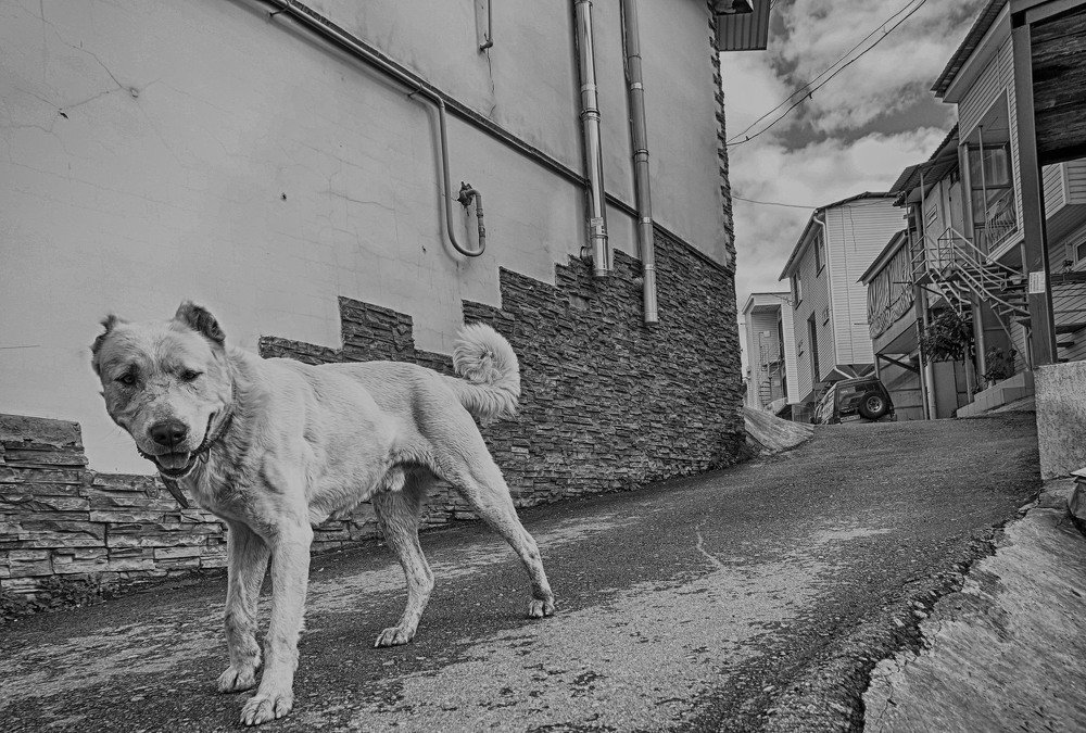 Уличный боец.