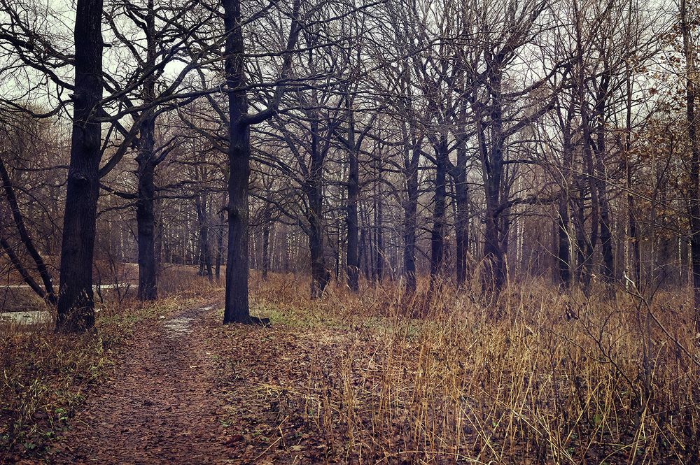 Глубокая осень.