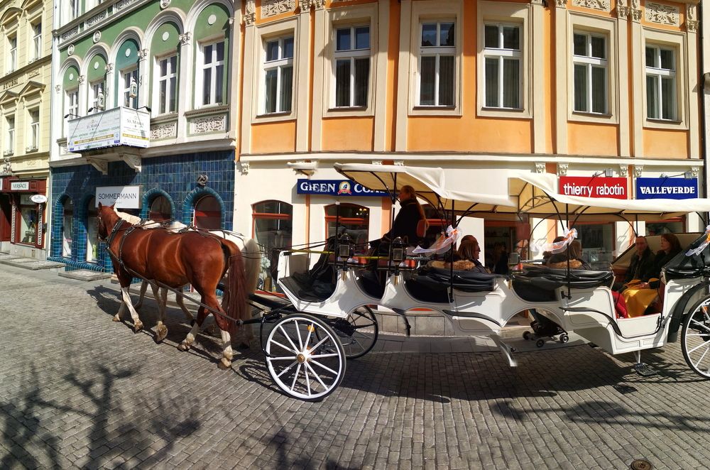 шестиногая лошадь )