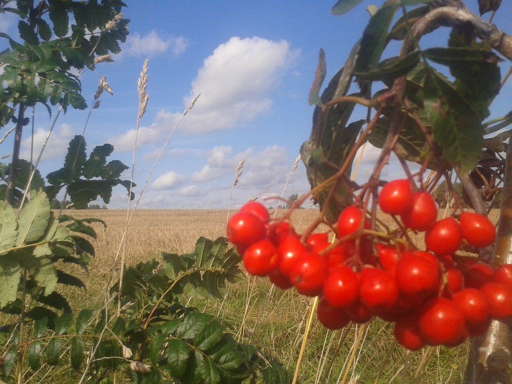 Фотография автора Рутковская Жанна