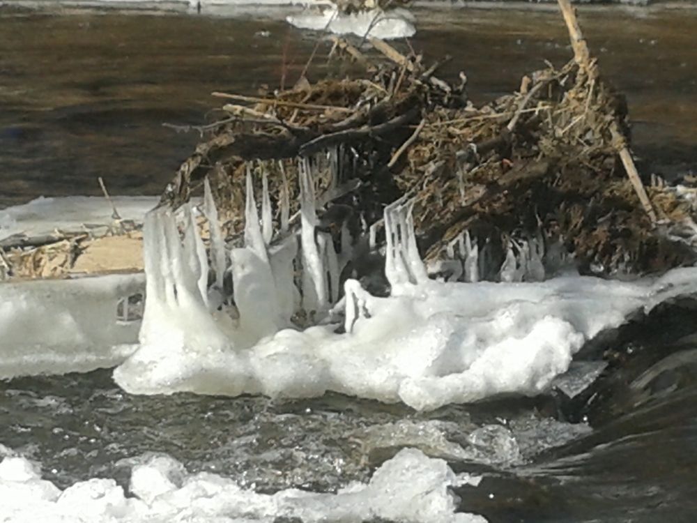 Фотография автора Рутковская Жанна