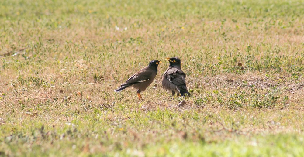 Photograph by Andrey nayer