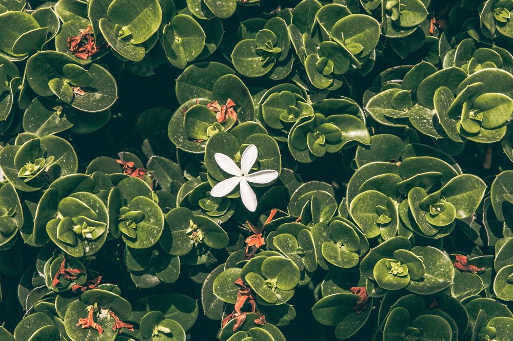 Photograph by Andrey nayer