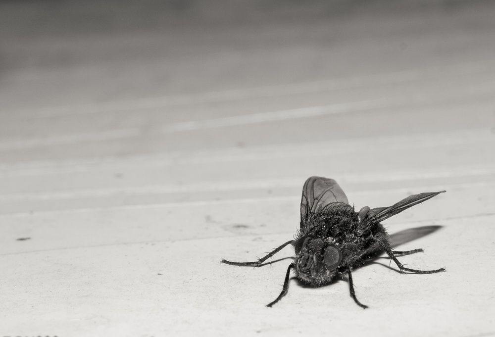 Photograph by Andrey nayer