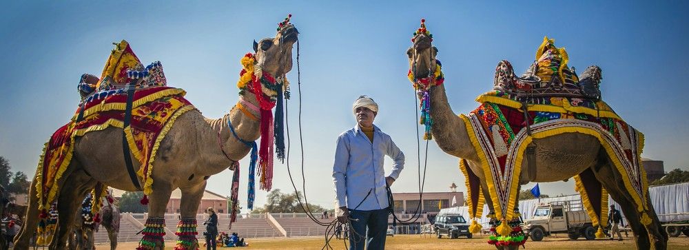 camel festival