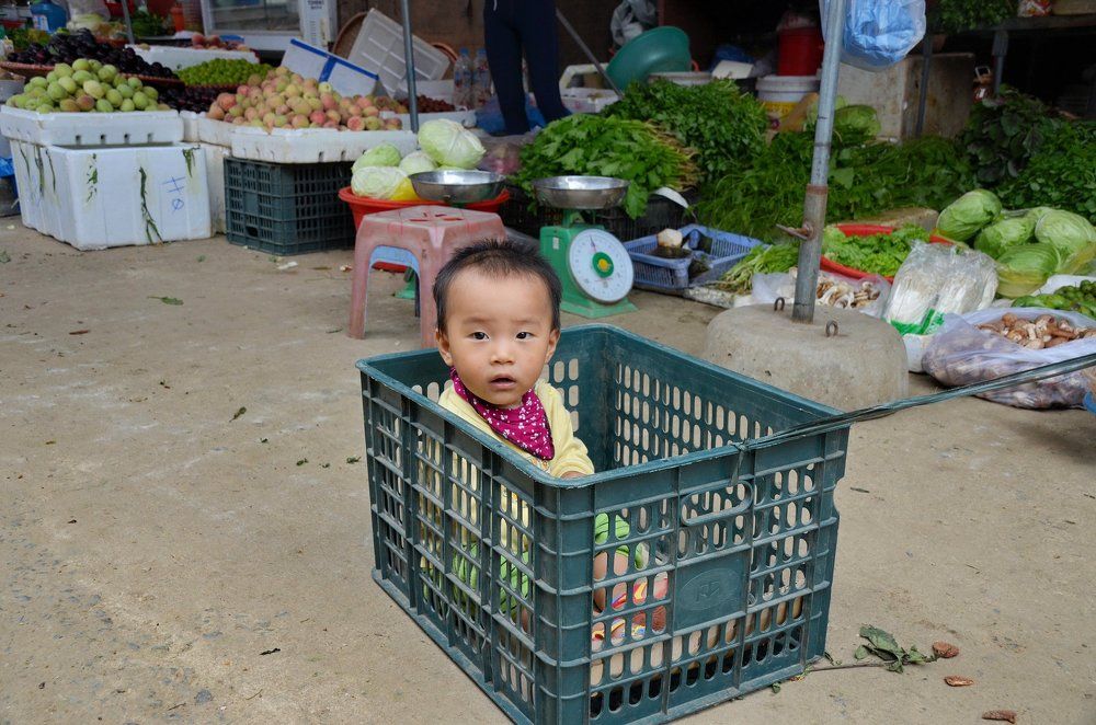 Фотография автора Alex