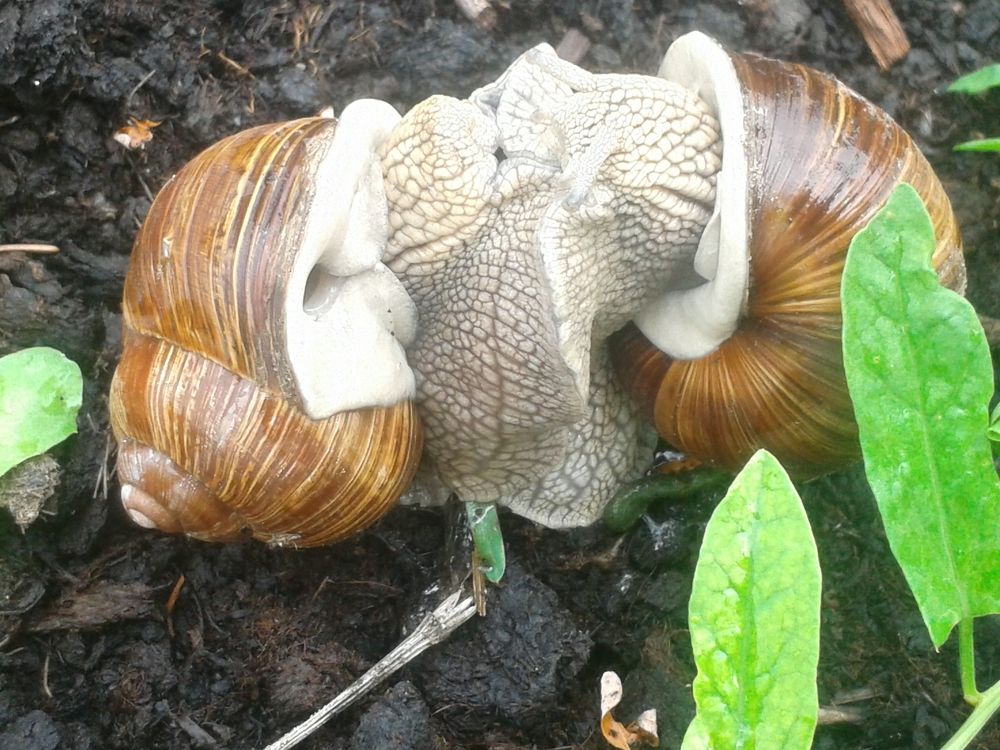 Фотография автора Рутковская Жанна