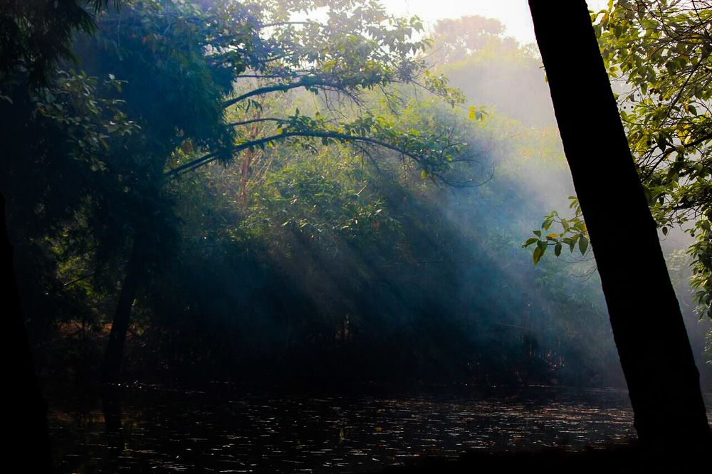 Photograph by Krishna Sai