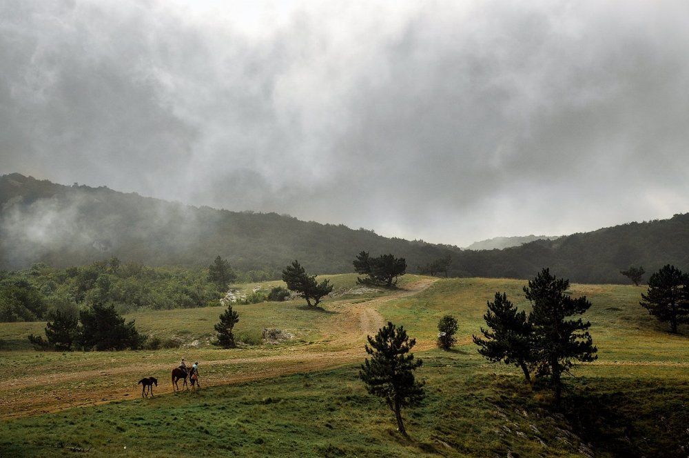 Photograph by Антон Набатчиков