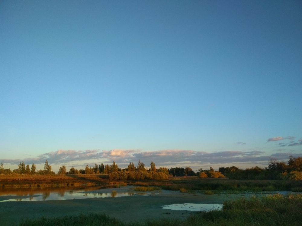 красота вокруг