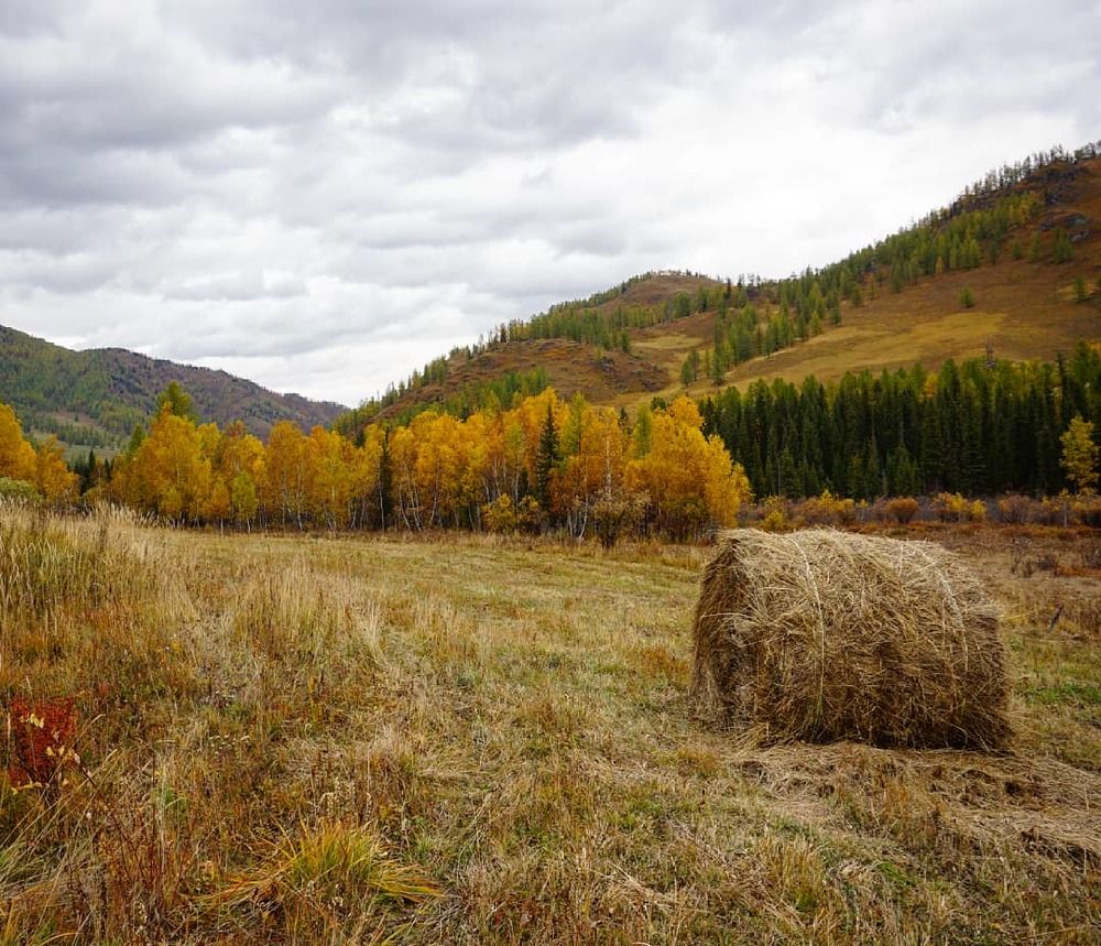 Photograph by Елена Фролова