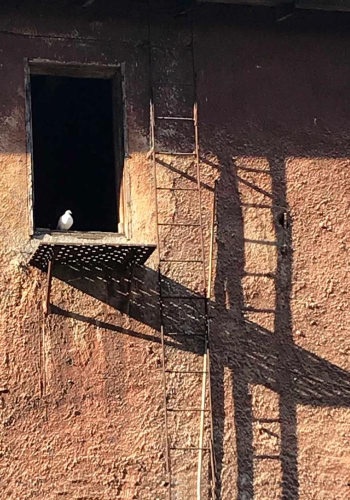 Дух святой в городе