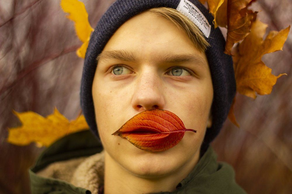 Осень - прекрасная пора