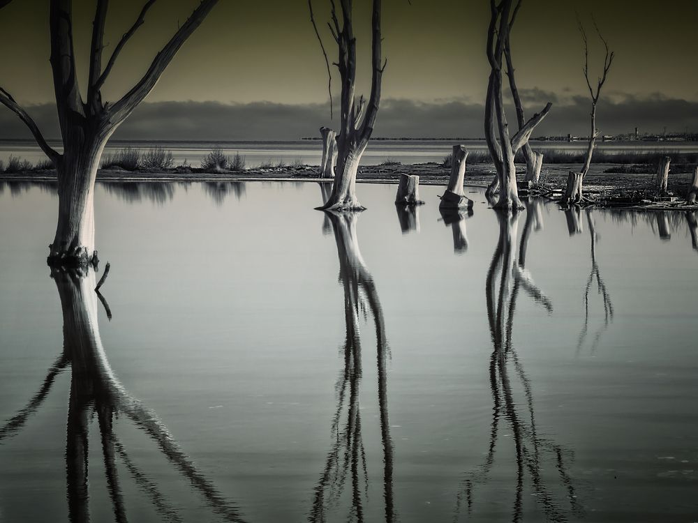 Reflections in Epecuen´s Lagoon
