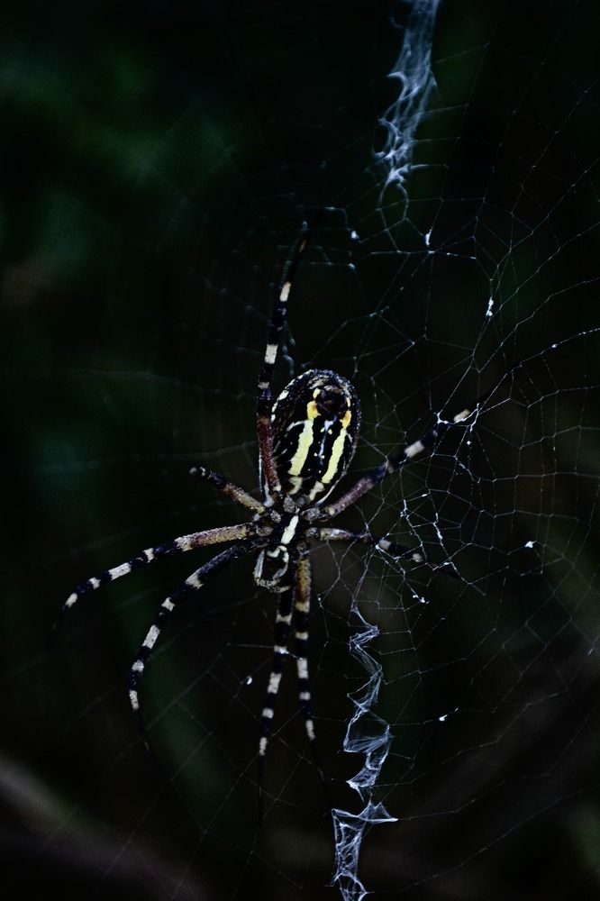 Photograph by Dorotea Dolhai