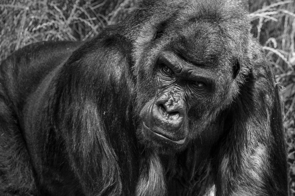 Photograph by Максим Юрков