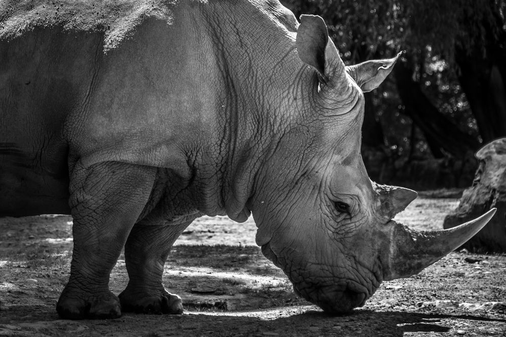 Photograph by Максим Юрков