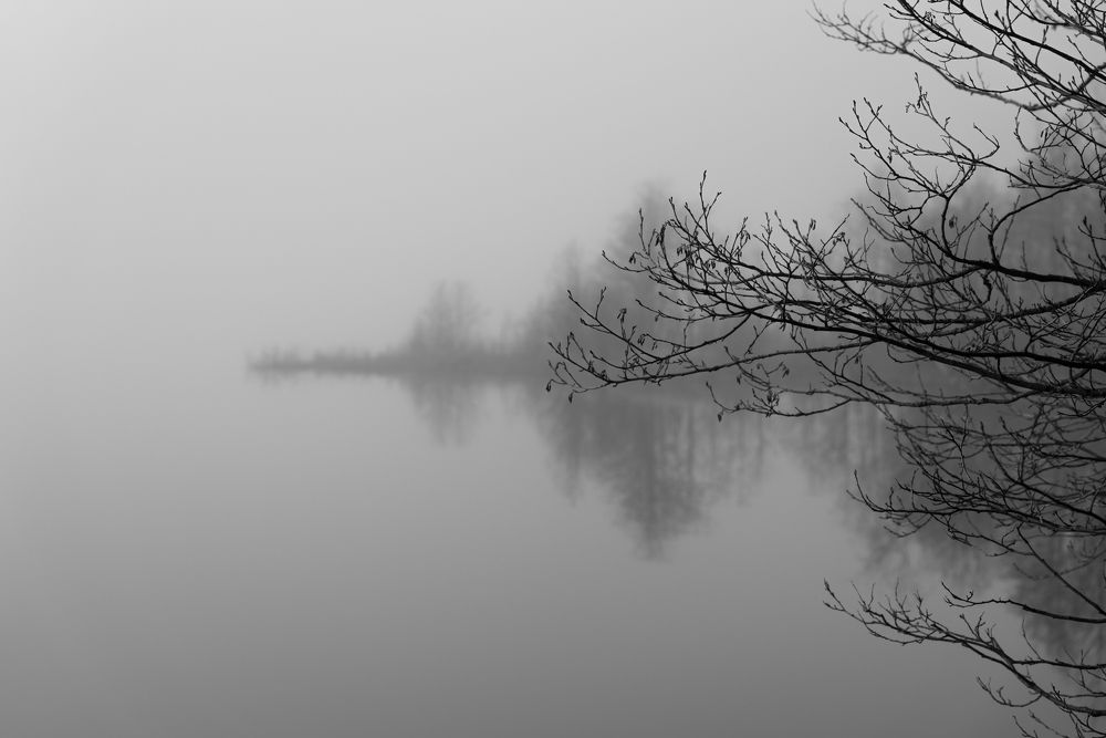 заблуждение