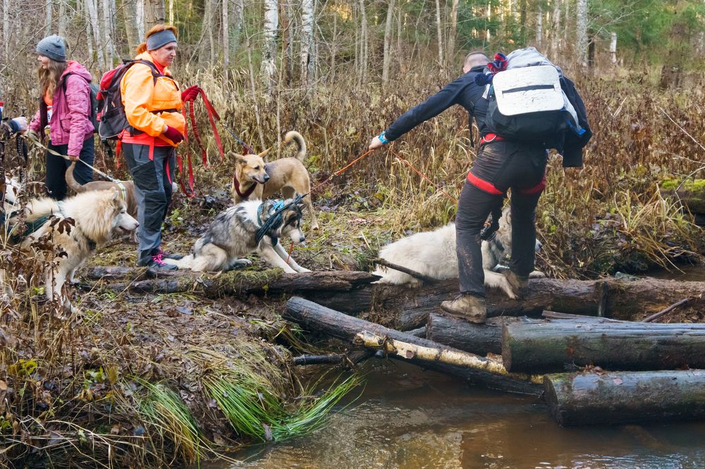 Не хочу в воду!