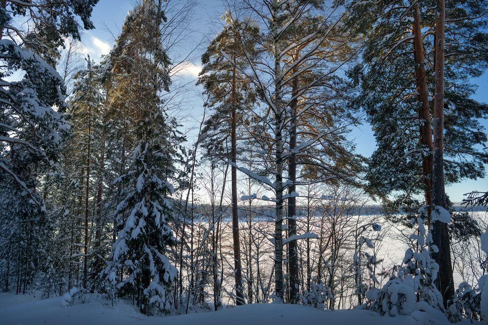 весна придет