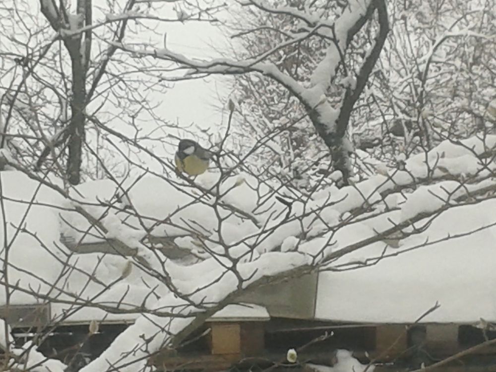 Фотография автора Рутковская Жанна