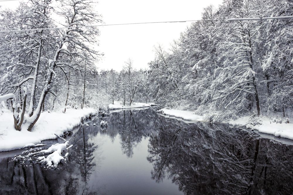 Течение жизни