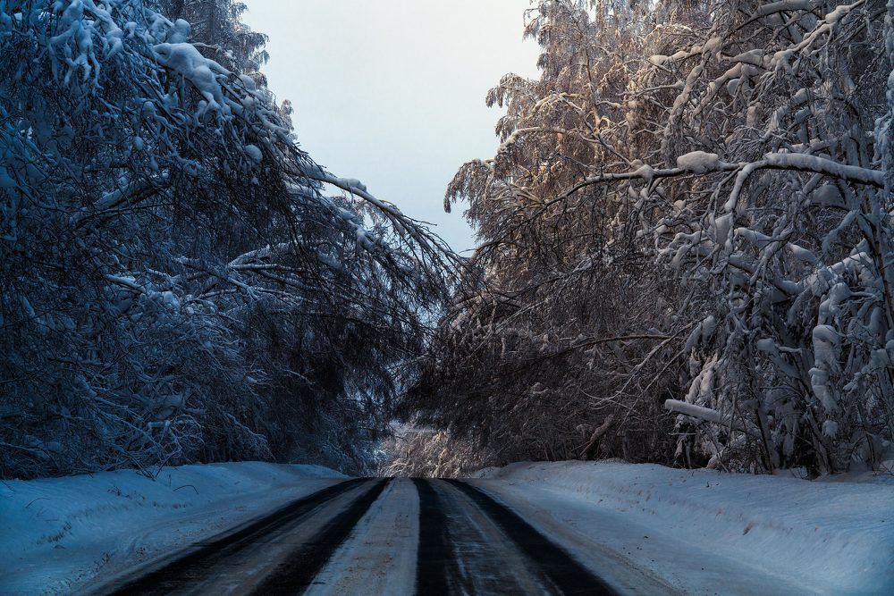 дорога через заснеженный лес
