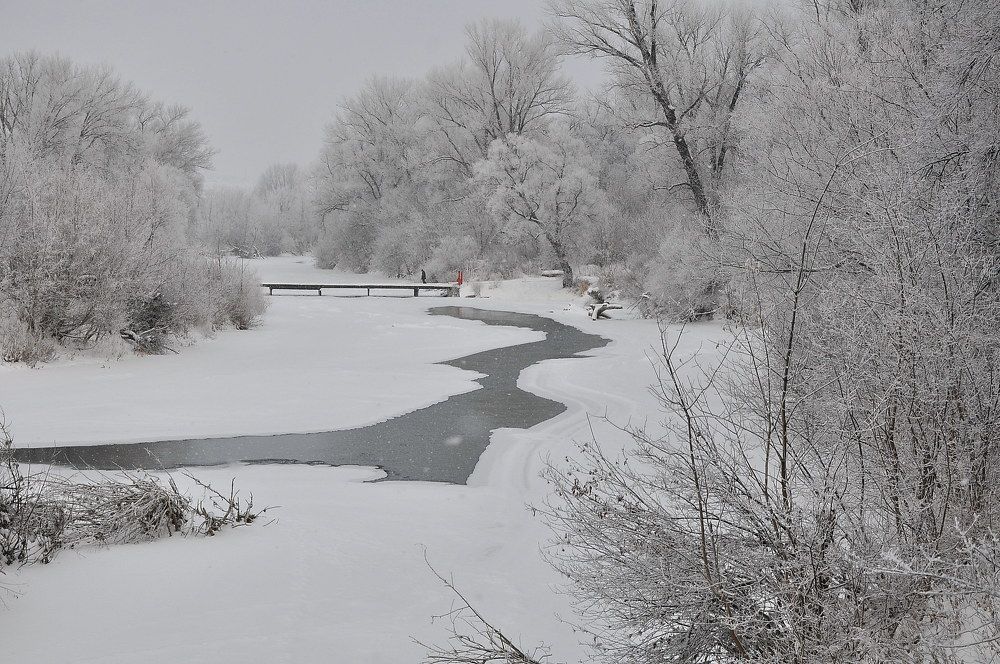 Зимний пейзаж.