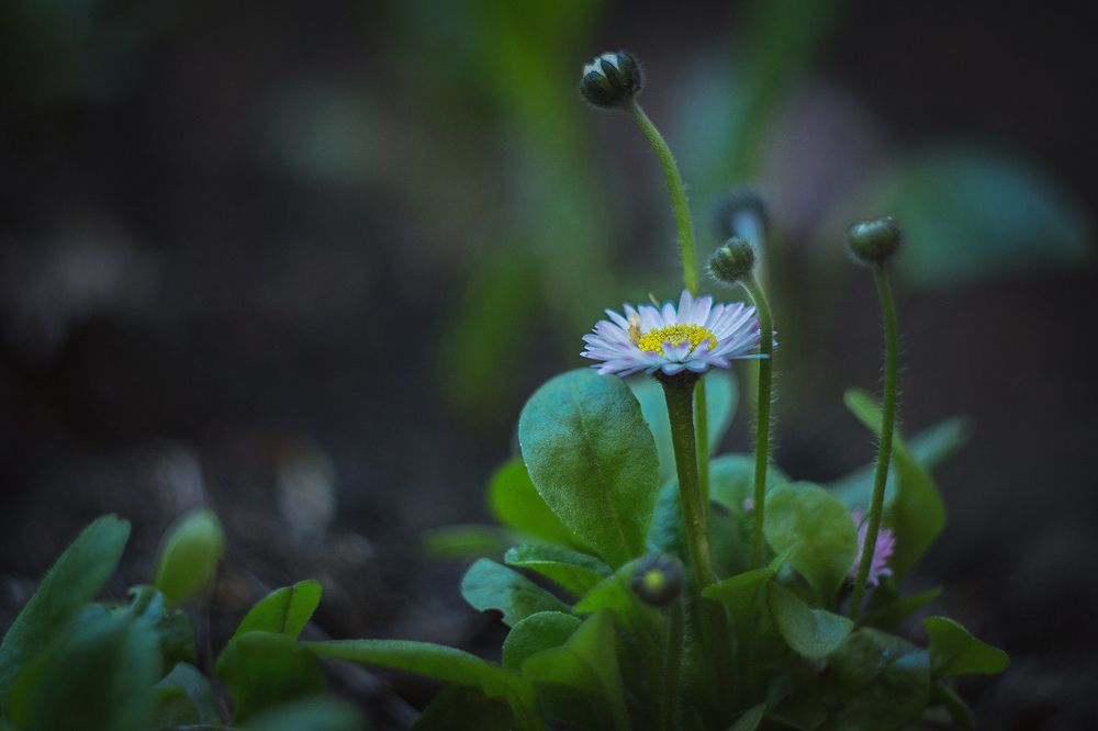 Кусочек жизни.