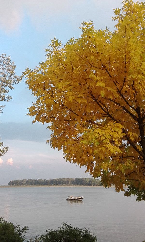 Galben... din SOARE!