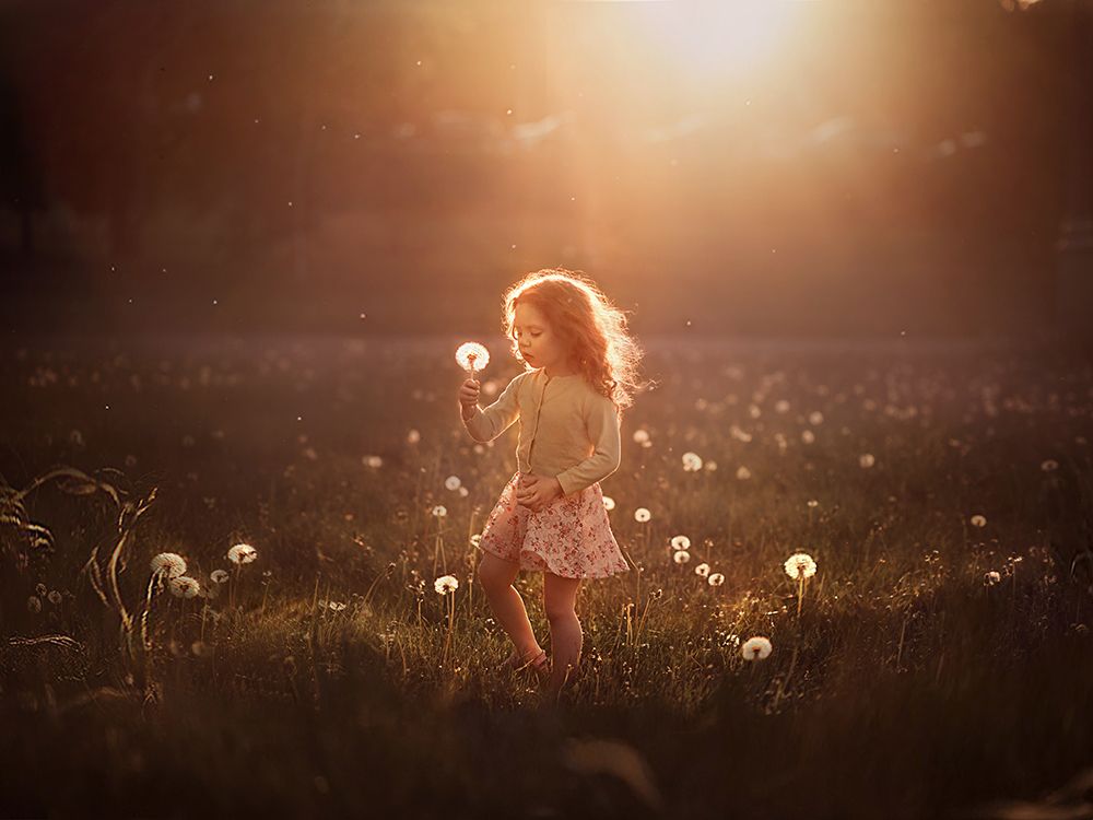 Когда одуванчики были большими