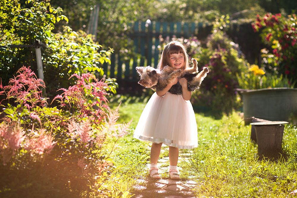 Бедный Йорик