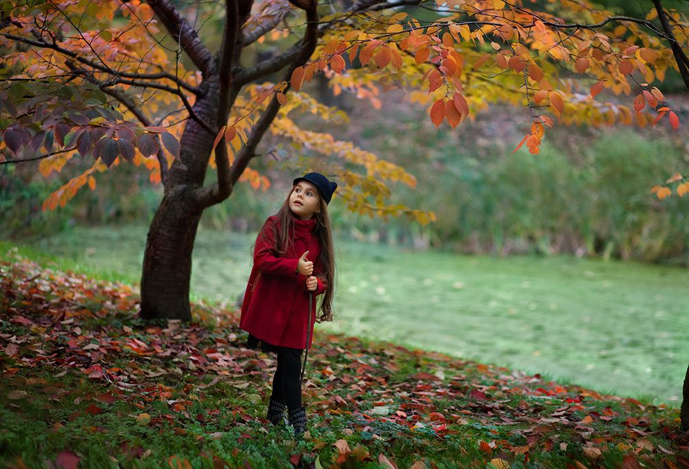 Японская осень в Москве