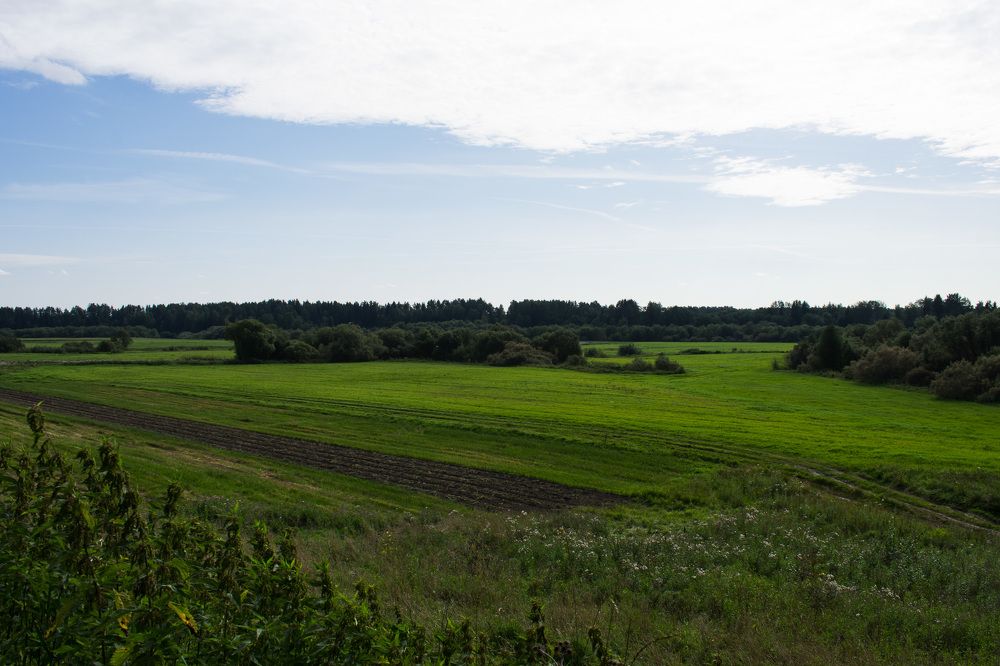 Родные просторы