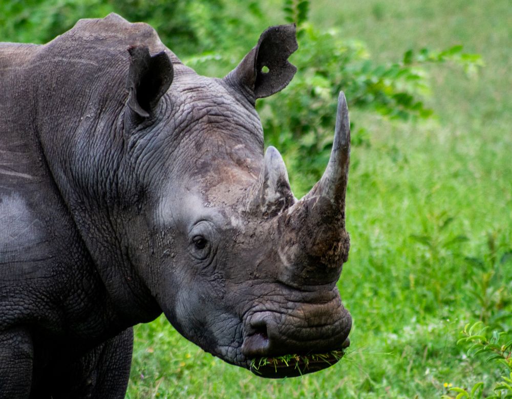 Photograph by Amy May Holt