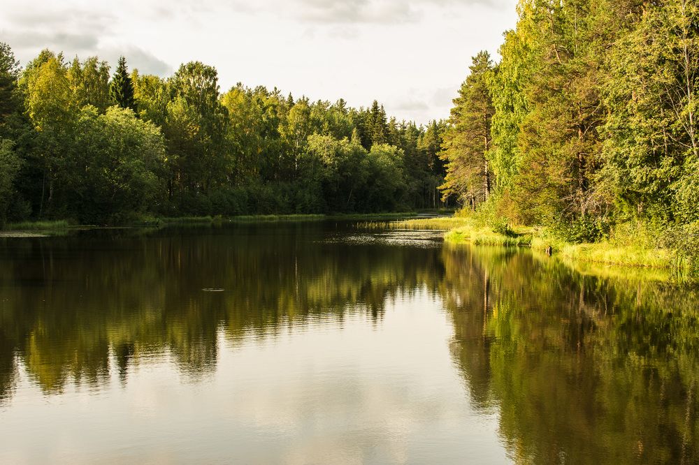 Опрокинутый кубок