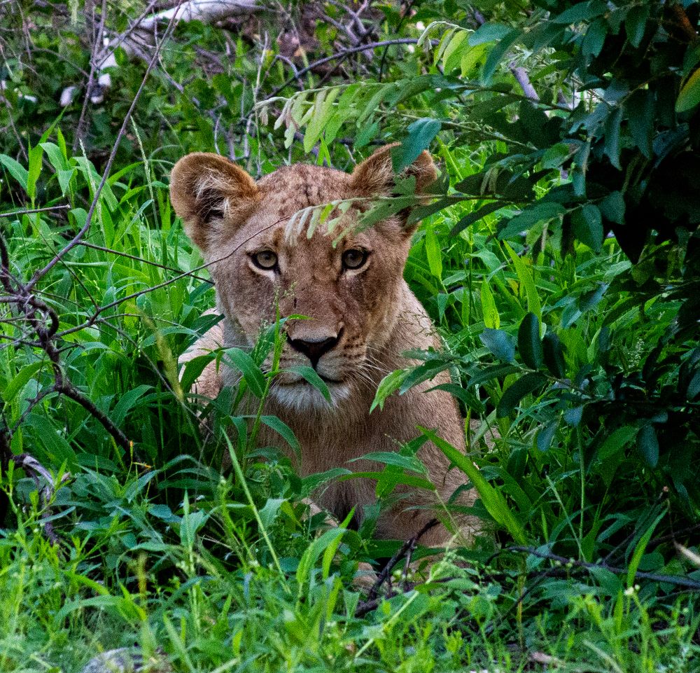 Photograph by Amy May Holt