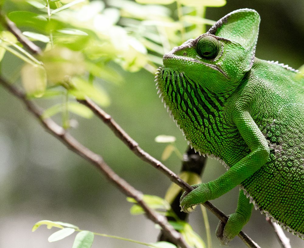 Photograph by Amy May Holt