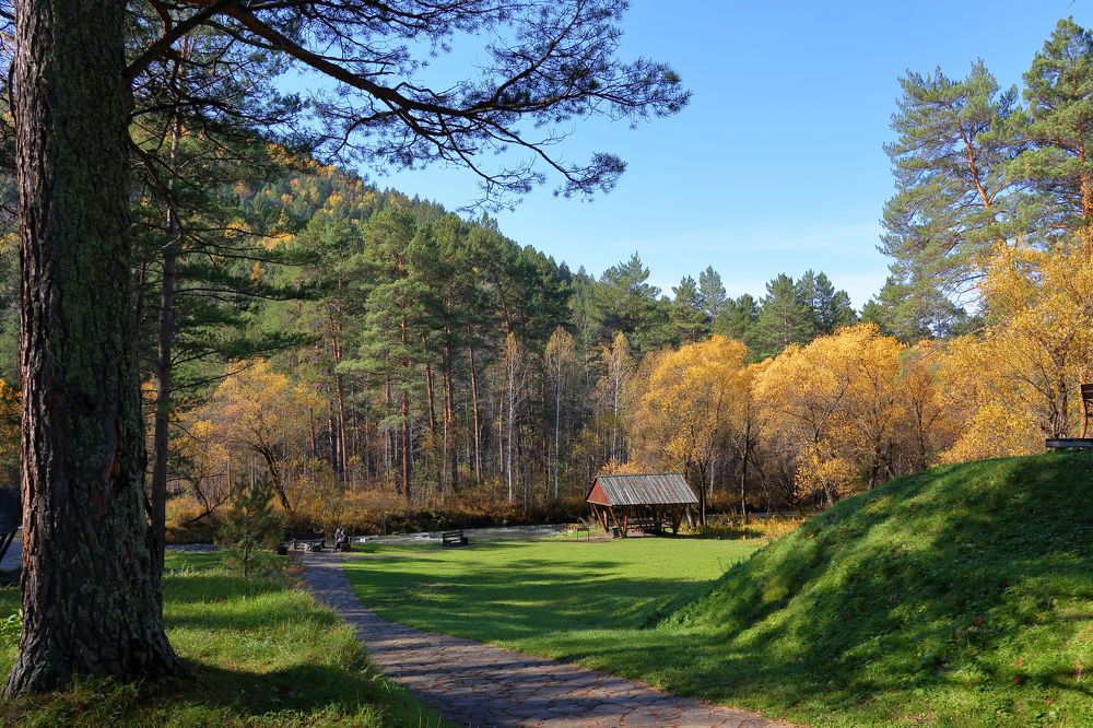 Дорожка в осень