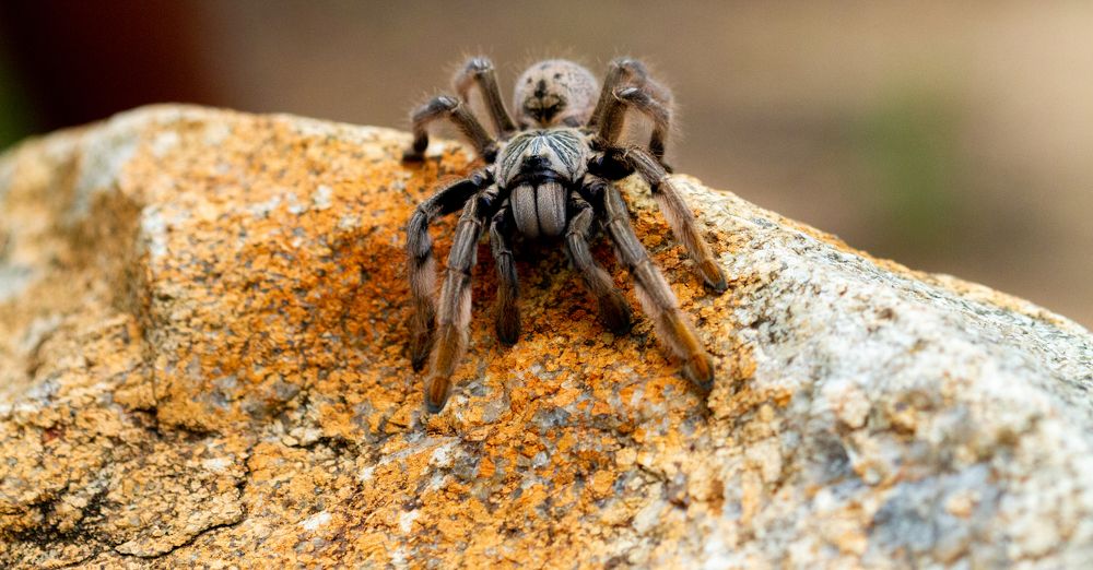 Photograph by Amy May Holt