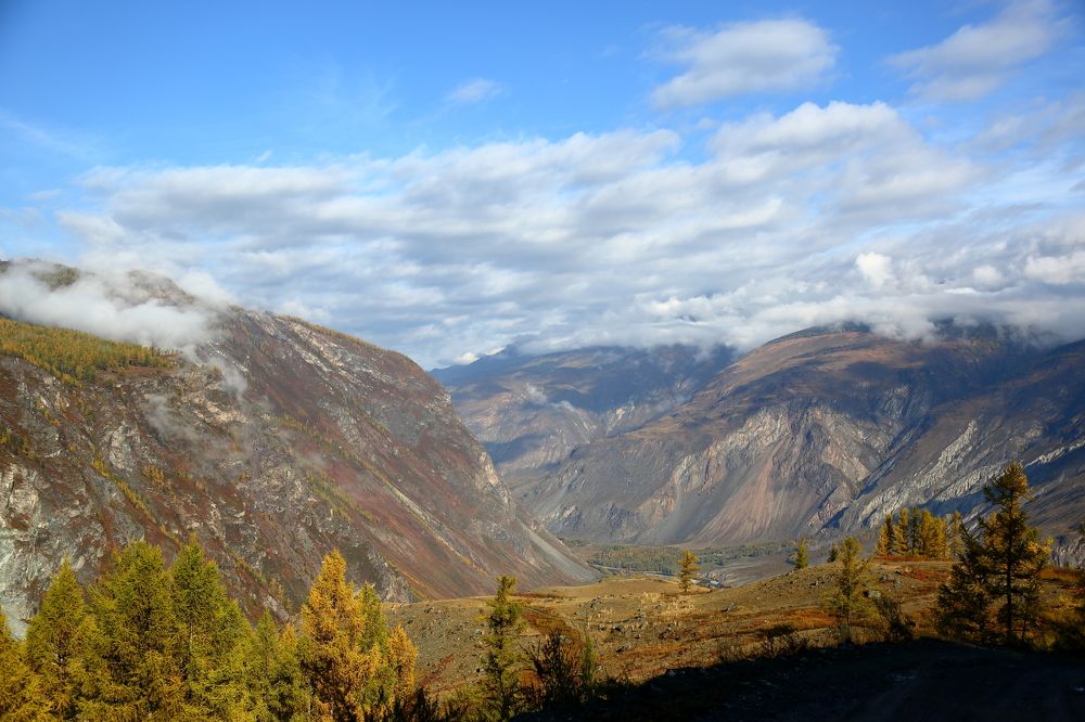 Осенняя сказка