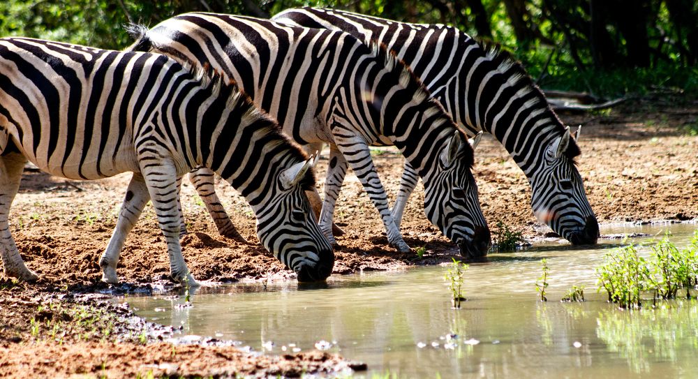 Photograph by Amy May Holt