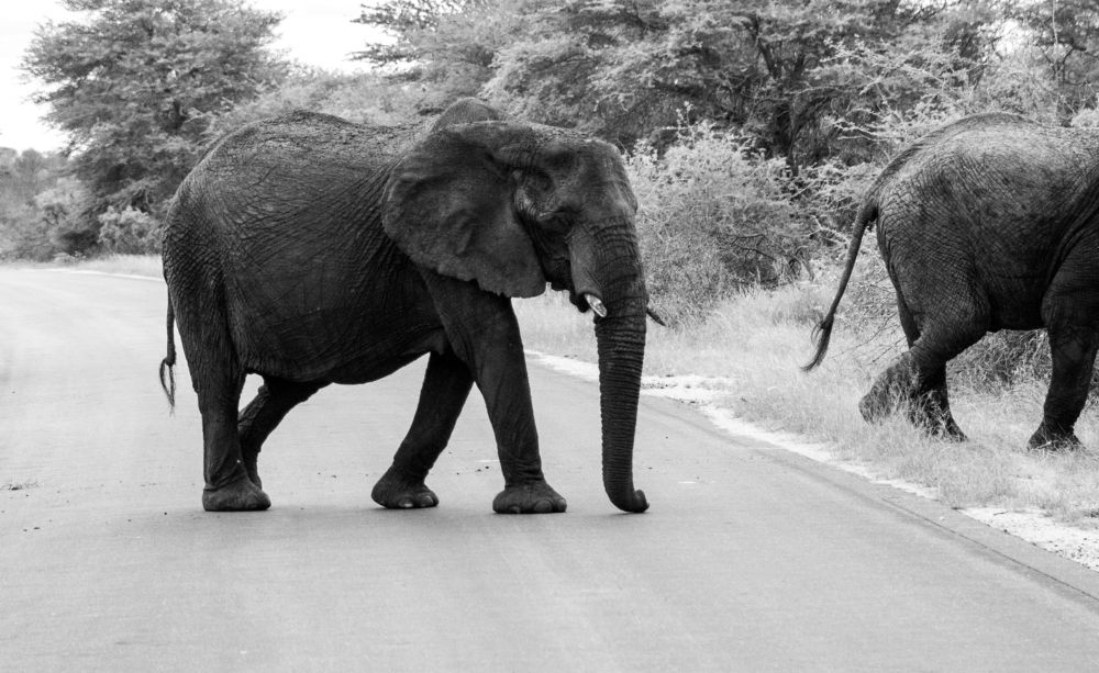 Photograph by Amy May Holt